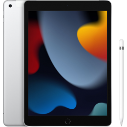 Apple iPad (2021) 10.2 inch 256GB Wifi + 4G Zilver + Apple Pencil (1e generatie)