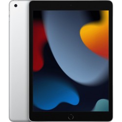 Apple iPad (2021) 10.2 256GB WiFi Tablet Zilver